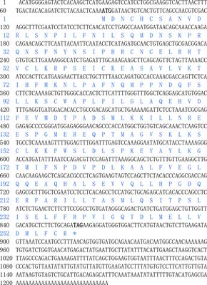 LPS Stimulation Induces Small Heterodimer Partner Expression Through the AMPK-NRF2 Pathway in Large Yellow Croaker (Larimichthys crocea)